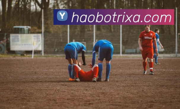 好博体育APP 封面图